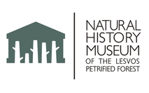 Visit the website of the the Lesvos Petrified Forest Museum