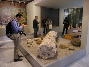 Μουσείο Απολιθωμένου Δάσους-Ξενάγηση αντιπροσωπεία Ιαπωνίας s
