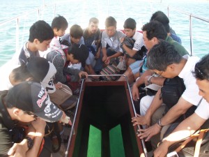 Σχολείο Toyooka Ιαπωνίας-Θαλάσσια περιήγηση Απολιθωμένο Δάσος με σκάφος με γυάλινο πάτο