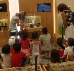 ΤΟ ΔΑΣΟΣ ΚΑΤΩ ΑΠΟ ΤΟΝ ΔΡΟΜΟ_Εκπαιδευτήρια Πλάτωνα