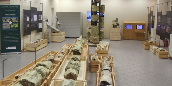 Τελευταία εβδομάδα παρουσίασης της έκθεσης  «ΤΟ ΔΑΣΟΣ ΚΑΤΩ ΑΠΟ ΤΟΝ ΔΡΟΜΟ»