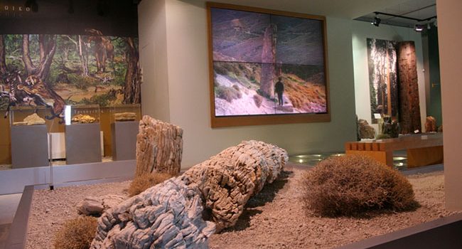 Δωρεάν είσοδος για όλους στο Μουσείο Φυσικής Ιστορίας Απολιθωμένου Δάσους Λέσβου