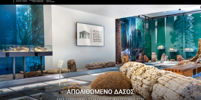 Ψηφιακό παράθυρο στο Απολιθωμένο Δάσος<br>Νέα Ιστοσελίδα Μουσείου Φυσικής Ιστορίας Απολιθωμένου Δάσους Λέσβου