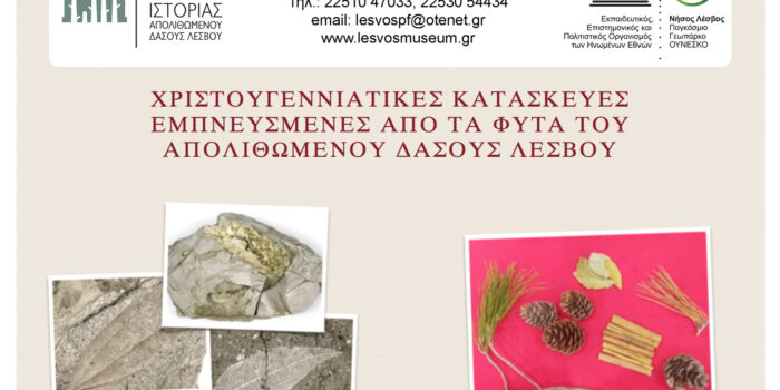 ΧΡΙΣΤΟΥΓΕΝΝΙΑΤΙΚΕΣ ΚΑΤΑΣΚΕΥΕΣ ΕΜΠΝΕΥΣΜΕΝΕΣ ΑΠΟ ΤΑ ΦΥΤΑ ΤΟΥ ΑΠΟΛΙΘΩΜΕΝΟΥ ΔΑΣΟΥΣ ΛΕΣΒΟΥ