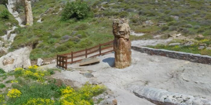 Δράσεις για άτομα με προβλήματα όρασης & κινητικά προβλήματα στο Γεωπάρκο Λέσβου</br>Ευρωπαϊκή συνάντηση εργασίας στη Λέσβο19-23 Ιουλίου 2021</br>Πρόγραμμα ERASMUS+