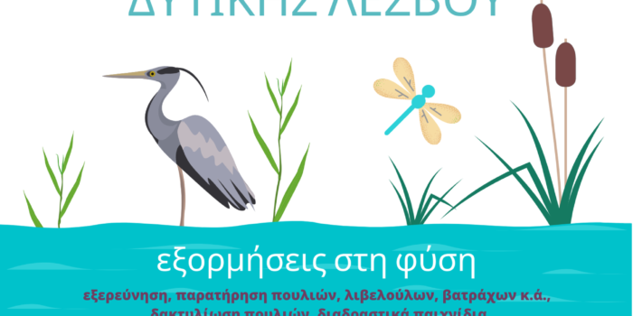 Υγρότοποι της Δυτικής Λέσβου</br>Εξορμήσεις παρατήρησης φύσης