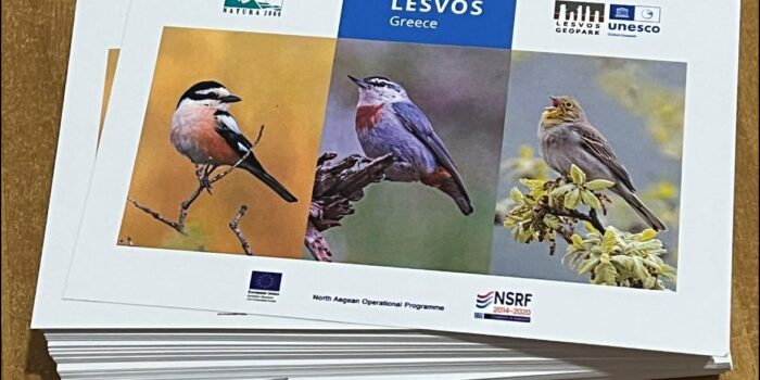 Συμμετοχή της Λέσβου στην Παγκόσμια Έκθεση παρατήρησης πουλιών  Global Birdfair 2023