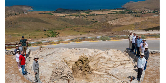 Περιήγηση και επιστημονική ενημέρωση στα Νέα Πάρκα Απολιθωμάτων κατά μήκος του οδικού άξονα Καλλονής-Σιγρίου