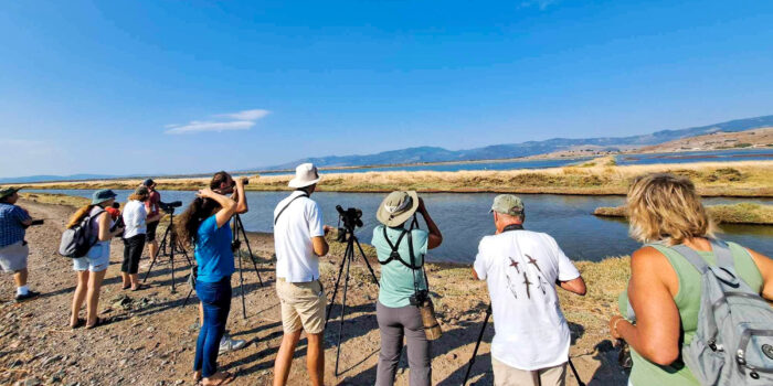 Εορτασμός της Ευρωπαϊκής Γιορτής Πουλιώνστην Αλυκή Καλλονής